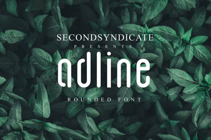 View Information about Adline Font
