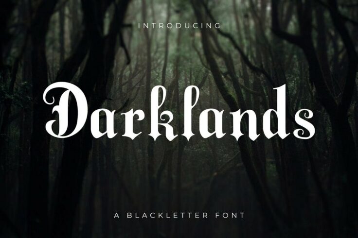 View Information about Darklands Font