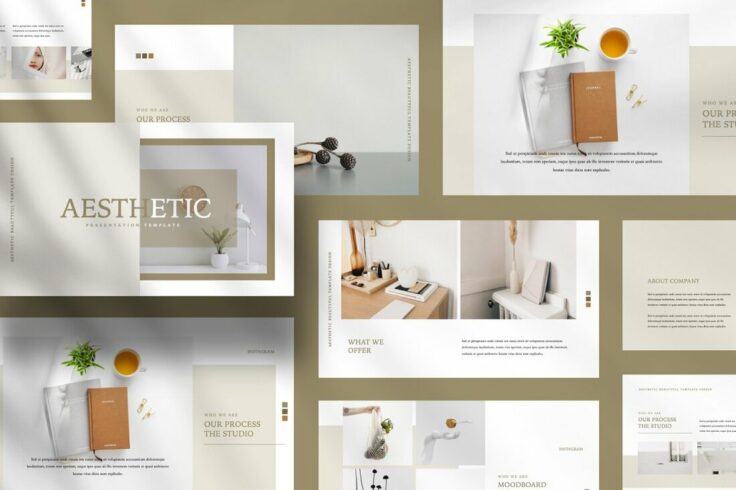 View Information about Aesthetic Powerpoint Template