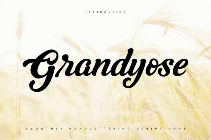 View Information about Grandyose Font