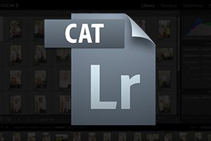 How to Organize Your Shoots and Catalogs in Lightroom