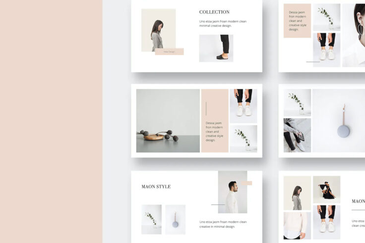 View Information about MAON Presentation Template