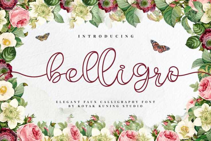 View Information about Belligro Outline Family