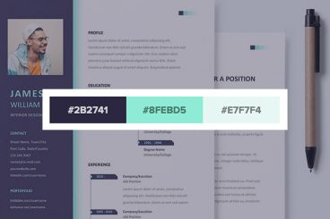 30+ Stylish Resume Color Schemes for 2023