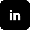 LinkedIn iOS Icon